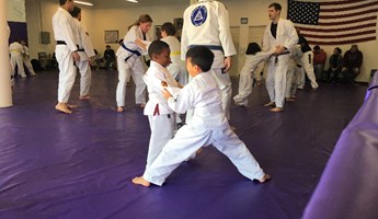 Ryron Gracie November 2016